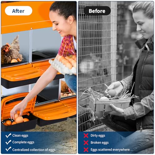 Chicken Nesting Boxes, 8 Compartments Chicken Laying Boxes, Removable Plastic Tray, Easy to Clean, Roll Away Nesting Boxes for Chickens Laying Eggs, Orange