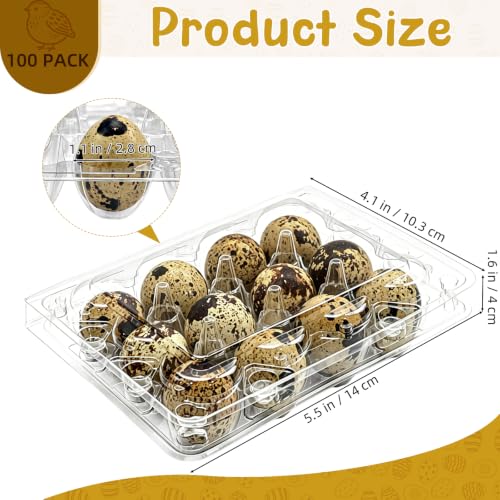 100 Pack Quail Egg Cartons, 12 Count Clear Egg Trays with Lids | Small Egg Storage Holders, Plastic Bulk Egg Boxes for Quail, Pheasant, Pigeon Refrigerator Storage and Display