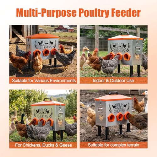 ‎Tgeyd 30 lb Metal Chicken Feeder, No-Waste Galvanized Feeder with 6 Feeding Ports, Adjustable Legs, Feed Level Window & Rainproof Roof Lid for Chickens, Ducks & Geese - size: 30LB