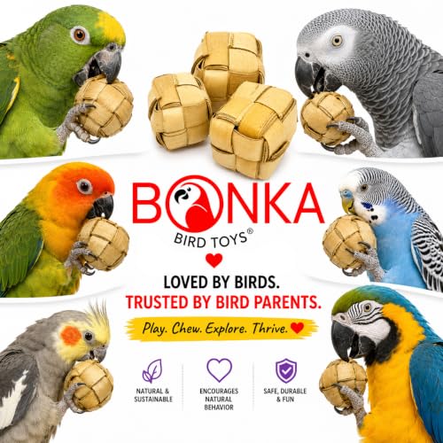 Bonka Bird Toys 1256 Pk3 Mini Palm Leaf 1.50" Square Boxes, Medium Parrot Forage Chew Foot Talon Cage Toys, African Grey, Conure, Pionus, and Similar Birds