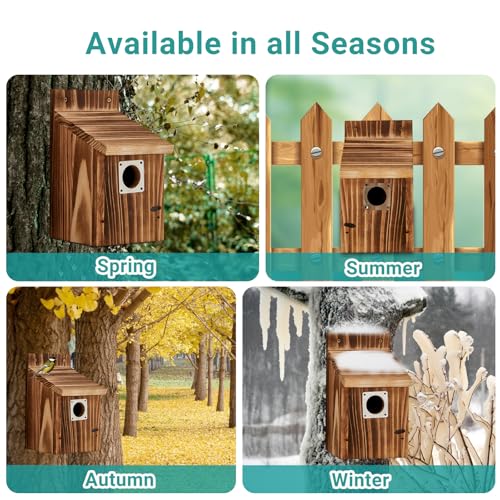 2 Pack Bird Houses for Outside, Outdoors Birdhouse Feeder for Bluebird,Cardinal,Purple Martin and Sparrow,Wooden Cedar Hanging Birds Nest,Easy to Clean,No Assembly Needed - style: Box