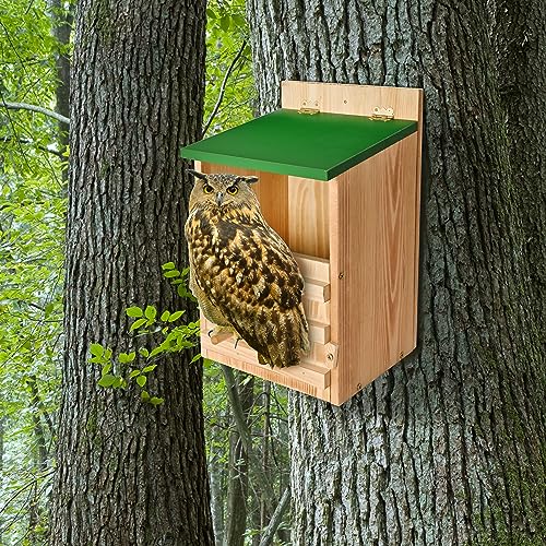 Owl House Owl Box with Bird Stand Design, Owl Nesting Box | Barn, Screech Houses Cedar with Shavings for Outside Wildlife Lovers,Cozy House for Lovely Birds - Easy Assembly Required - color: Wood color