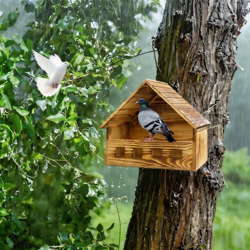 Mourning Dove Nesting Box - 11.42"x6.30"x10.63" Carbonized Cedar Bird House, Outdoor Wooden Birdhouse for Doves & Small Birds to Nest, Thoughtful Gift for Bird Lovers