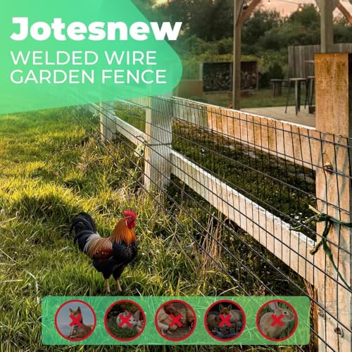 (36 in x 99 ft) Garden PVC Welded Wire Fence, Mesh Size 2 in x 3 in, 16-Gauge Welded Wire Fence, Poultry Protection Animal Fence, Includes Gloves and Pliers - size: 36 inch x 99 ft