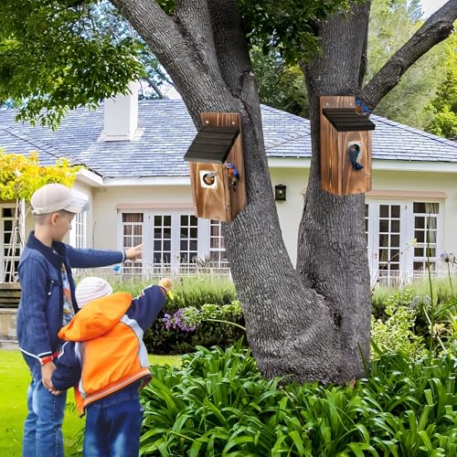Dreyoo 2 Pack Bluebird Box Houses for Outside,1-1/2'' Entrance Hole Wooden Bird Houses with Metal Guard, Secure Latch,Fledgling Grooves,Air Vents for Bluebird Wren Swallow (Black Roof,Burnt Wood Body) - color: Black Roof,Burnt Wood Body