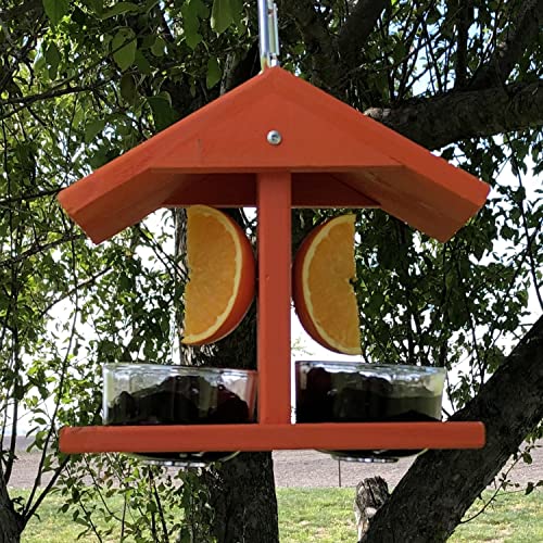 Double Fruit and Jelly Bird Feeder | Wood Roof Keeps Food Dry - 2 Prongs for Orange Halves - 2 Glass Jelly Cups, Sold Separately