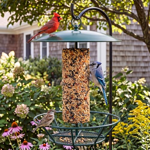 Bird Seed Cylinder Holder Wild Bird Feeder for Suet Cakes,Dark Green | Hanging Hanger with Roof, Metal Mesh Holds Round Suet Cakes, Attracts Backyard Wildlife to Garden Outdoor Feeding Station - color: Dark Green