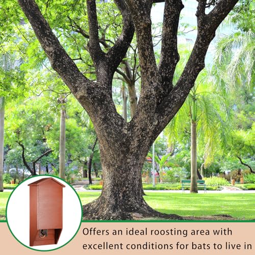 2 Pack Bat House for Outdoor,Red Brown,Large,2 Chamber-pr | Large Cedar Wood Weatherproof Bat Boxes for Outside Trees, Dual Chamber Shelter with Grooved Landing for Backyard Roosting - color: Red Brown, style: 2 Chamber-pr