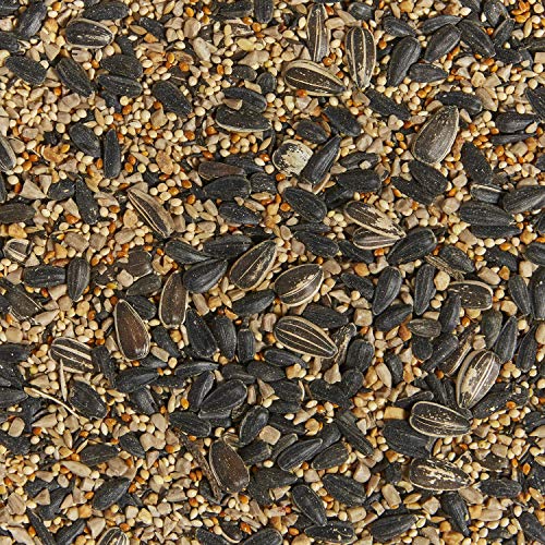 Kaytee Western Regional Wild Bird Seed, 7 lb - size: 7 Pound (Pack of 1), style: Western