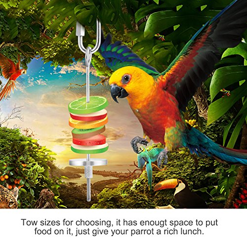 Bird Fruit Holder Skewer, Durable Stainless Steel Treat Feeder for Bird Cages Small Pets Silver 22cm 1 Pack