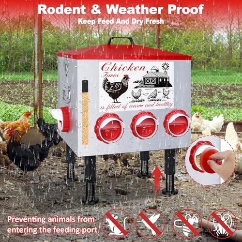 50Lb Automatic Chicken Feeder with Window 10 Port No Waste Rust-Proof Galvanized Steel with Locking Lid & Adjustable Height Legs Waterproof Portable Poultry Feeder for Chickens,Ducks,Geese