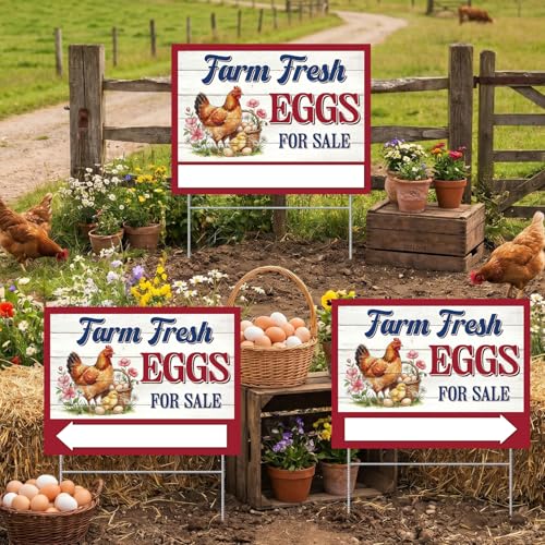 Rngmsi 3PCS Farm Fresh Eggs for Sale Sign, 16 X 12 Inch Double Sided Fresh Eggs Sign Farmers Market Decor, Waterproof Metal Mark with 6 Stakes for Indoor Outdoor Yard Business Supplies Home Decor - color: Farm Eggs