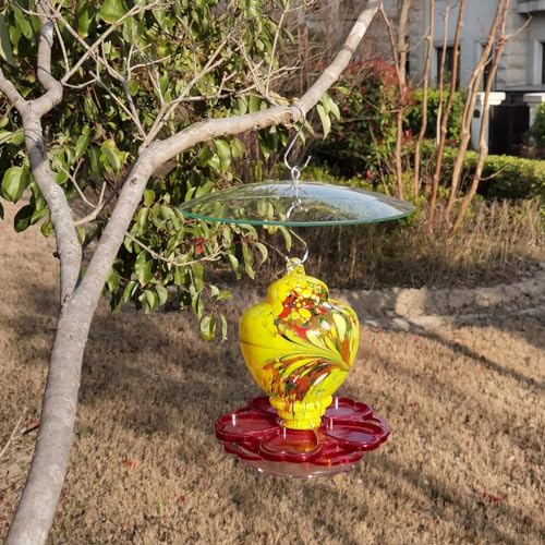 10" Small Glass Rain Cover for Bird Feeder, 2-Pack Clear Weather Guard Dome | Stainless Hooks & Shatterproof Squirrel Baffle Protective Shield for Hook Hanging Outdoors, Bird House Protector, Dia. 20cm - color: Clear, size: 2PC/Pack