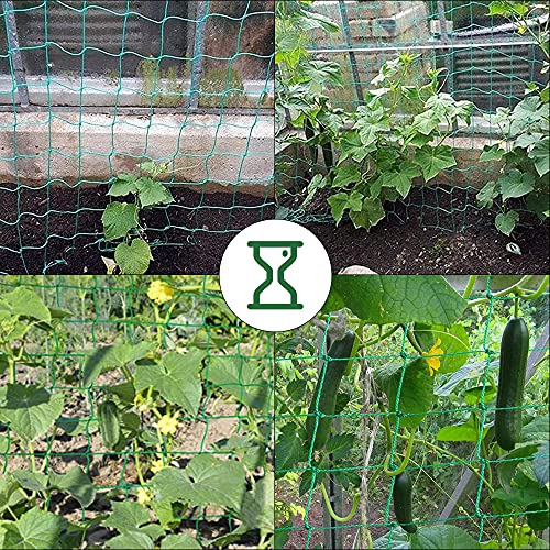 Trellis Netting, PDGROW Climbing Plant Support Net Garden Pea Bean Neting, Heavy-Duty PE Trellis Net for Cucumber, Tomato, Vegetables, Fruits, Sweet Pea Plants (6.6' x 16.4'Ft) - size: 6.6' x 16.4'