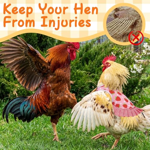 6 Pcs Chicken Saddle for Hens, Chicken Aprons Back Protector | Chickens Vest Jacket Saddles for Hens for Poultry Hen Feather Fixer Supplies (Adjustable Strap, Fruit) - style: Adjustable Velcro, Fruit Theme