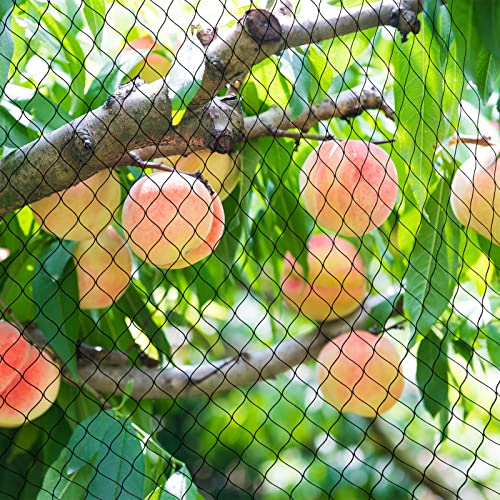 Poultry Netting for Chicken Run, 25x50ft Garden Netting with 1" Square Mesh | Protect Plants,Fruit Tree & Vegetables from Poultry, Birds Deer, Pests & Other Animals, Bird Netting for Garden,Farm,Orchard - size: 25'×50'-1''