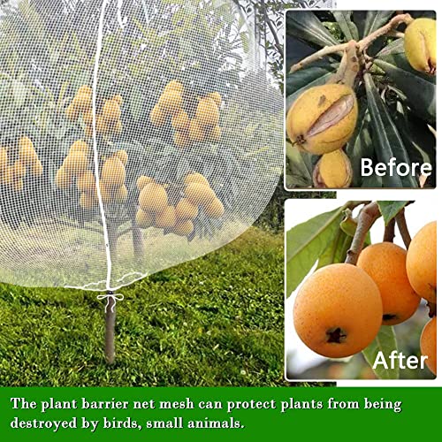 FONUNO Fruit Tree Netting with Zipper Birds Netting for Fruit Trees, White | Netting Covers with Zipper to Protect from Squirrels and Birds Large Netting for Fruit Trees Protection, 8' x 8', 1 Pack - color: White, size: 8 x 8 feet - 1 Pack