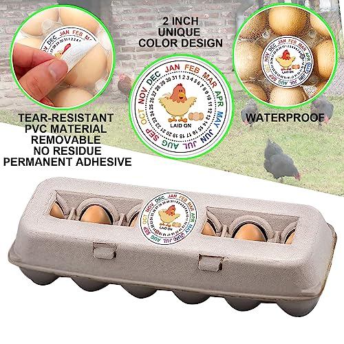 Eggs Laid On Date Stickers | Farm Fresh Eggs Carton Labels | 500 PCS/Roll | 2" Round Egg Date Packaging Stickers | Egg Stamps for Fresh Eggs | Egg Stamps for Fresh Eggs