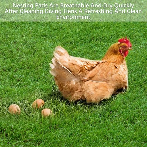 12 Pack Chicken Nesting Box Pads - 12"x12"x1" Washable Artificial Grass Liners for Chicken Coop, Laying Hens, Pet Garden (Indoor/Outdoor Use) (12)
