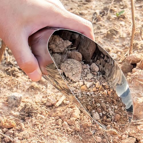 3Pcs Stainless Steel Soil Scoop Set - Bonsai Shovel Tools for Repotting, Succulent Planting, Gardening Small Metal Hand Spade Trowel (Silver)