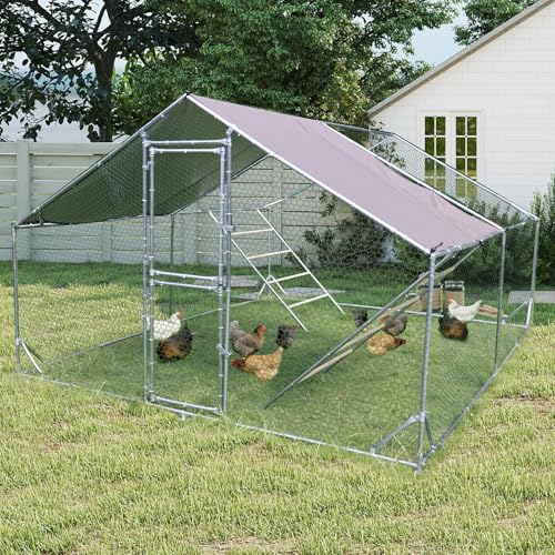 Aivituvin Extra Large Chicken Coop Metal Chicken Run for 10–20 Chickens, Walk-in Outdoor Poultry Enclosure with Roosting Perch & Anti-UV Cover for Yard, Ducks, Rabbits & Small Animals
