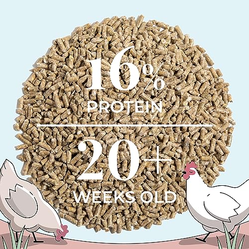Mile Four Organic Chicken Feed, Layer Pellet, Non-GMO, USA Grown 2 lbs | 16% Protein; Corn & Soy-Free; USA Grown; Non-Medicated; No Fillers or Additives; Supports Egg Production; Family Farm Sourced - size: 2 Pound (Pack of 1), style: Pellet