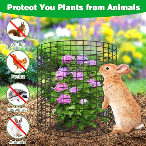 10 Pcs 11.8"x 11.8"/11.8"x 19.6" Available Chicken Wire Cloches for Plants, Plant Protector from Animal, Garden Covers Netting Iron Wire Mesh to Protect Plants Vegetables from Rabbit Squirrel Chicken - size: 11.8"D x 11.8"H