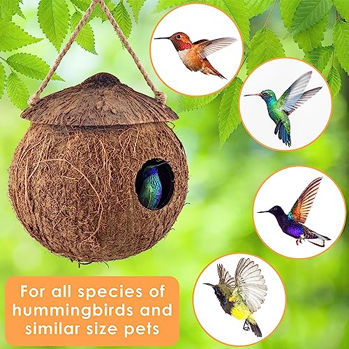 KATUMO Hummingbird Houses, Natural Coconut Bird Houses for Outside Hanging Hummingbird Swinging Nest, with Coconut Fiber Bedding for Nesting Window Garden Outdoor Home, 3Pcs