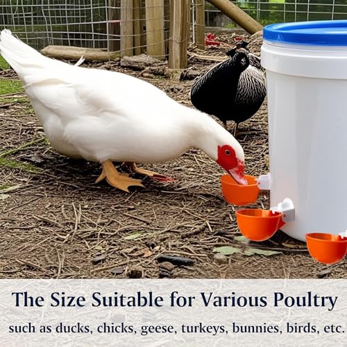 Chicken Automatic Waterer Cups, 6pcs Large Water Feeder for Poultry Caring | Self Watering Device for Chicken, DIY Poultry Waterer Kit for Duck, Chick, Goose, Turkey, Bunny, Bird, Poultry Drinking Valve