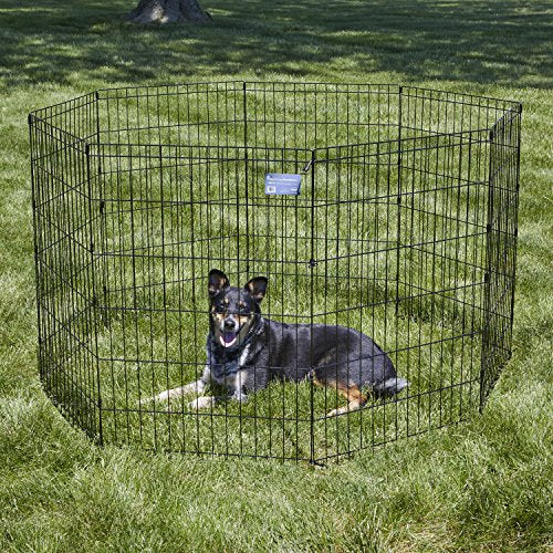 Midwest 36-Inch Exercise Pen, No Door, 16 Sq Ft Play Area | for Indoor and Outdoor Use, No Door Design for Maximum Security, Easy to Set Up, Foldable Playpen - color: Black No Door, size: 36" H