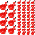 Patelai Chicken Water Cups, Chicken Waterer Cups Summer Water Feeder Cup 3/8 Inch Thread Automatic Filling Waterer Poultry Drinking Bowl for Duck Turkey Bunny(Red,48 Pieces) - color: Red
