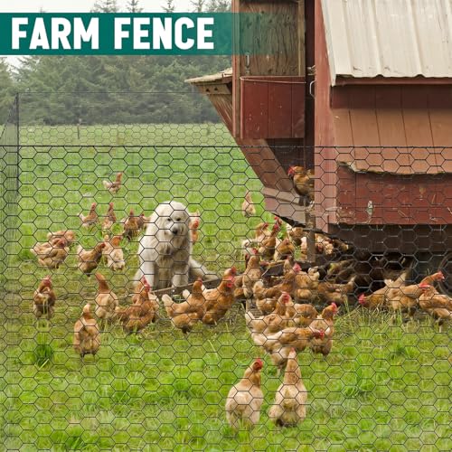 GlikCeil 48 in X 200 ft Chicken Wire Fencing Mesh, Metal Floral Chicken Wire for Floral Arrangements, 0.6 Inch Hexagonal Galvanized Poultry Netting for Garden, Coop Barrier, Duck Rabbit Cage(Black) - color: Black, size: 48 in X 200 ft