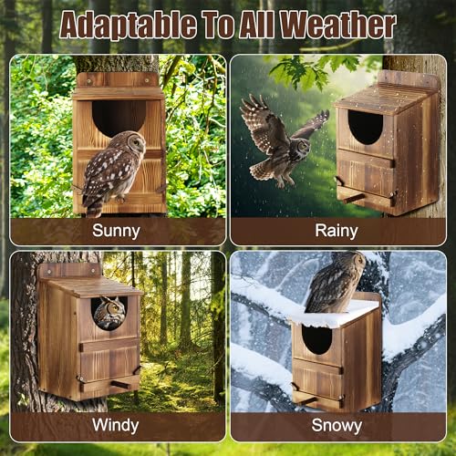 Owl House, Barn Owl Nesting Box with Bird Stand and Wood Shavings, Large Wooden Screech Nesting Box for Outside, Nest Box for Wild Birds, Barn, Screech, Eagle, 1 Set