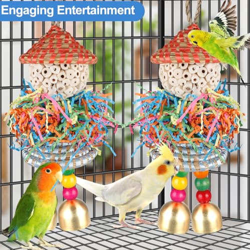 BBjinronjy 2PCS Bird Toys Parrot Foraging Shredder Hanging Toys Sola Balls with Bell for Small Parrots Parakeets Cockatiel Conures Love Birds Budgie Cage Toy - size: Medium D