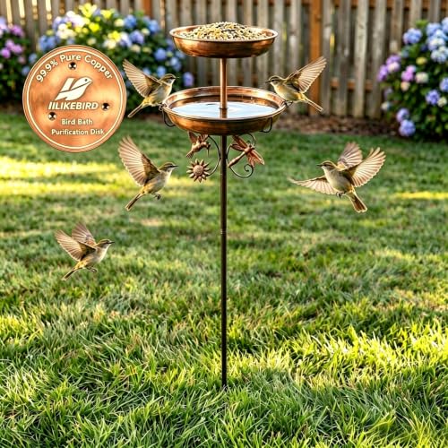 2-in-1 Bird Bath Feeder Set Antique Bronze with Copper Disk | Dual trays, heavy-duty metal, rustproof, hummingbird decor, ground stake, tool-free, vintage style