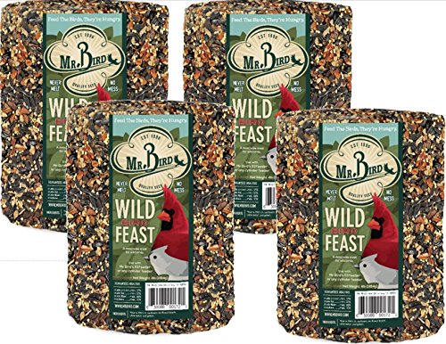 Mr. Bird WildBird Feast Cylinder, 4-Pack, 4 lbs | Wild Bird Seed for Outside Feeders | Premium Blend of Pecans, Sunflower Hearts & Millet | No Mess, No Melt - size: 4 Pound (Pack of 4)
