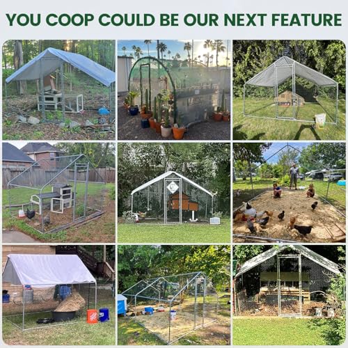 CHIKENCOOP 19.5x9.8x6.5ft Metal Chicken Coop, 3-Room Run, Hardware Cloth | Three-room walk-in run with hardware cloth, full-top waterproof UV-resistant cover, 3-mode solar light, and center perches - size: 234.0"L x 118.0"W x 78.0"H