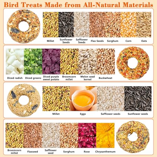 Fhiny 8 PCS Parakeet Treats, Donut Shaped Natural Grain Cockatiel Food with Fruits Vegetables Flowers and Herbs Bird Chew Toys for Parrot Conure Lovebird Training Rewards and Beak Grinding