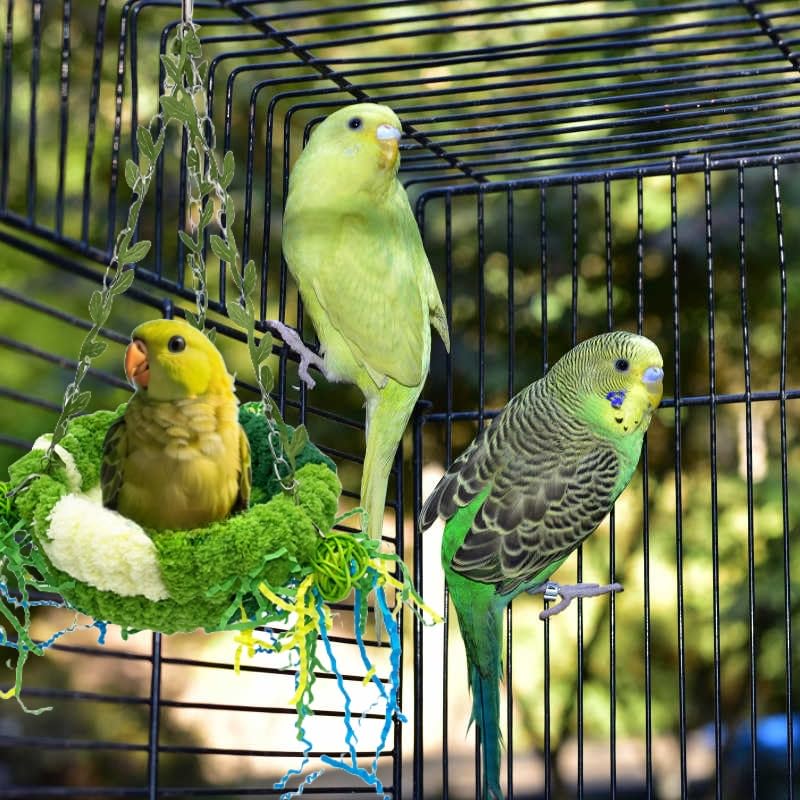 Bird Nest for Cage Bird Breeding Bed Cockatiel Snuggle Nest Parakeet Swing Bed Bird Hanging Hammock Parrot Sleeping Hut for Conure, Budgie, Lovebird, Finch, Small Pets-Green, Large Size - color: Green with Decoration