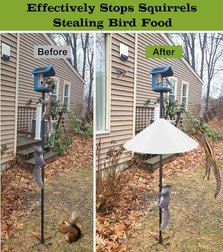 19 Inch Wide Squirrel Baffle for Bird Feeder Pole, Outside Pole Mount Stopper & Bird House Guard for Outdoor Shepherd’s Hook, Semi-Transparent, 1 Pack - color: Semi-Transparent