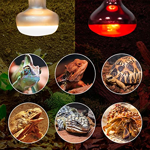 REPTI ZOO 2 Pack 100W Reptile Heat Lamp Bulbs,Upgraded Reptile Day and Night Basking Spot Bulb Combo Amphibian Infrared Heat Lamp Bulb/UVA Basking Spot Daylight Heating Light Bulb - style: Style 1