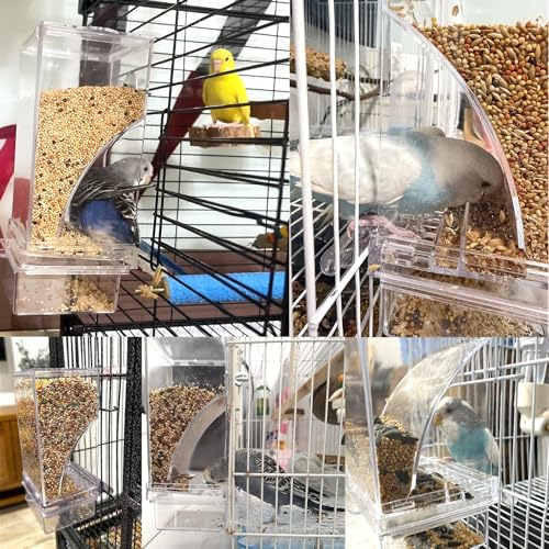 Automatic Bird Cage Feeder No Mess Parakeet Feeder Seed Food Container Feeding Station Cage Accessories for Small Birds Parrot Canary Lovebirds(Transparent) - color: Transparent, size: 1Pcs