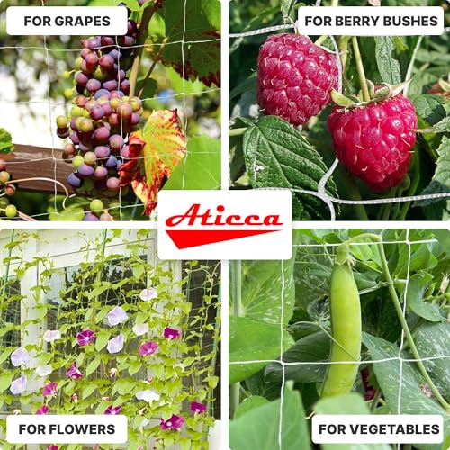 ATICCA Trellis Netting 5 x 225 ft Heavy Duty Polyester Plant Support Netting White - 6 Inch Garden Rope Trellis on Roll - Mesh Twine for Growing Vine Climbing Plants, Flowers, Peas, and Tomatoes. - size: 5x225ft Polyester Trellis Netting