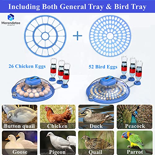 26-52 Eggs Automatic Incubator | Upgrade Automatic Water Adding, 360 Degree View, Egg Turner, Temperature Control, Egg Candler