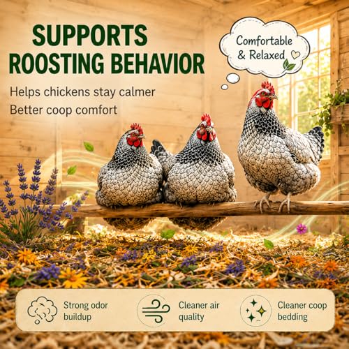 Chicken Nesting Herbs, Aromatic Botanical Blend for Chicken Coop, Nesting Boxes, Coop Bedding, Dust Bath, Odor Control, Freshness & Coop Refresher, Poultry Enrichment for Backyard Hens, 1LB