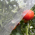 Garden Netting 4x10ft for Plants - Ultra Fine Mesh Bug Insect Barrier | Fine Netting for Vegetable Garden Raised Bed, Blocks Aphids Cabbage Moth, Greenhouse Row Cover, Reusable Plant Protection - size: 4'x10'