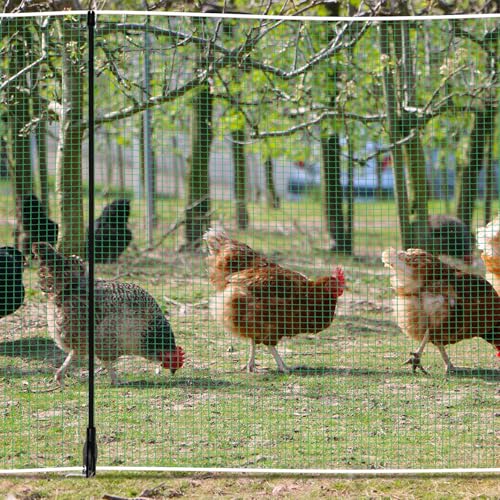 Temporary Fence with Posts 4' x 65' Suitable for Backyard, Garden | Boundary Chicken Fence with Double Spiked Fiberglass Posts & Windbreak Rope, Portable Non Electric Fence Netting - size: 4' x 65'