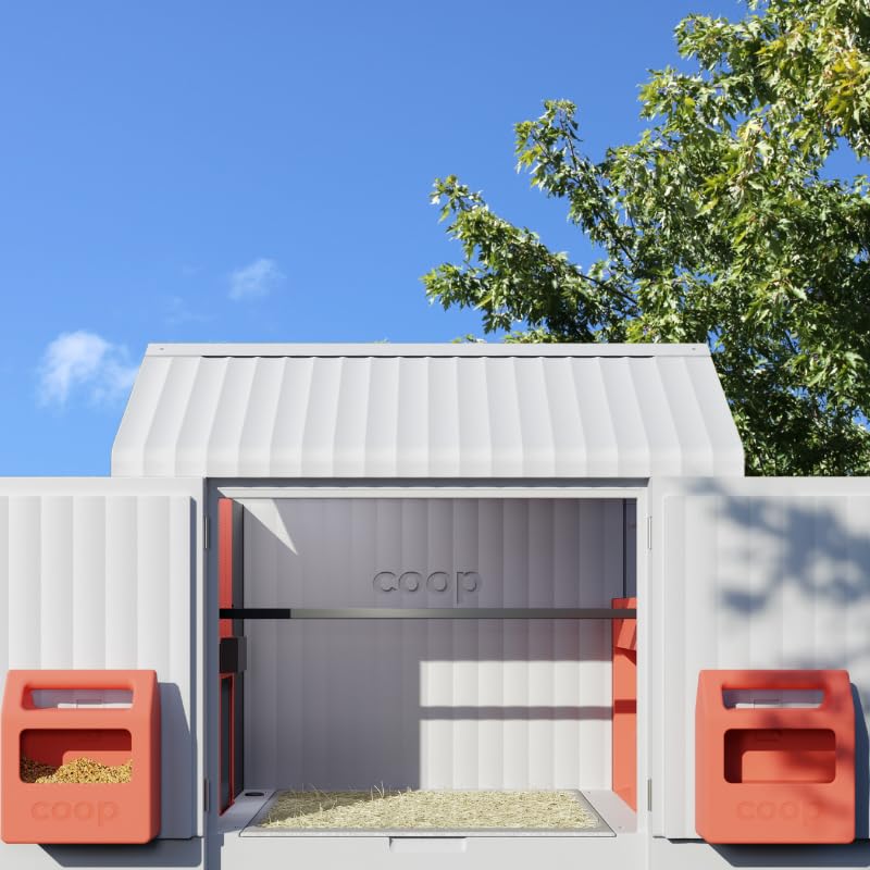 Smart Coop with Steel Run – Weatherproof, Predator-Proof Chicken Coop with Dual Smart Cameras, Automatic Door, Solar Optional for 4-6 Chickens - size: 102.9"L x 32.0"W x 54.8"H