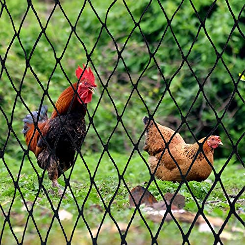 DQS Bird Netting 50' x 50', 2.4" Square Mesh Garden Netting, Poultry Net | Chicken Netting Hawk Deer Fence Net for Fruit Tree, Plant & Vegetable, Heavy Duty Nylon Aviary Net for Farm, Orchard - size: 2.4", 50' x50'