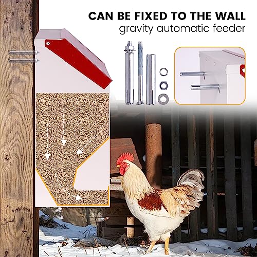 Galvanized Wall Mount Chicken Feeder No Waste Hanging Chicken Feeder with Lid Weatherproof Metal Automatic Poultry Feeder Trough Food Dispenser for Outside Coop (23 lbs)